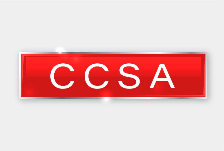 CCSA Training Course