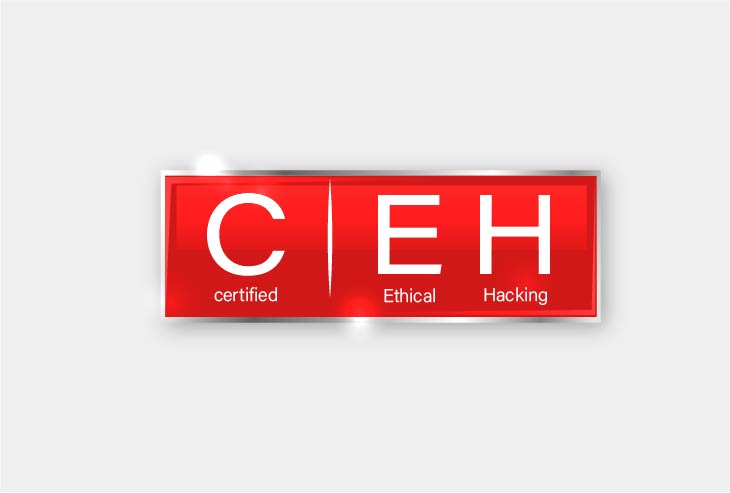 Ethical Hacking Course in Surat